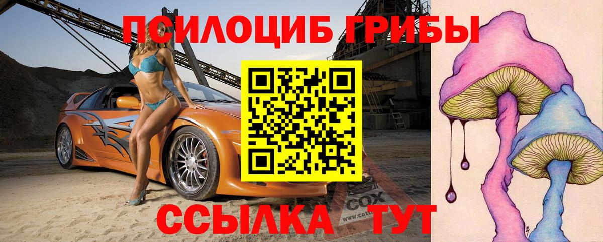 Псилоцибиновые грибы мицелий Магнитогорск