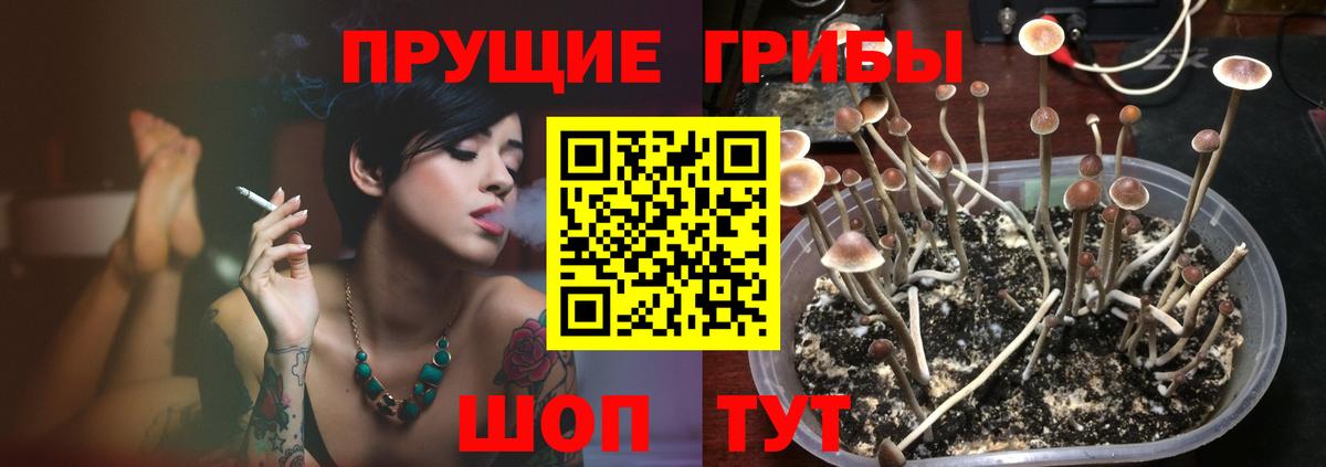 Магнитогорск  Галлюциногенные грибы GOLDEN TEACHER  Псилоцибиновые грибы Magic Shrooms  магазин    Вход с VPN 